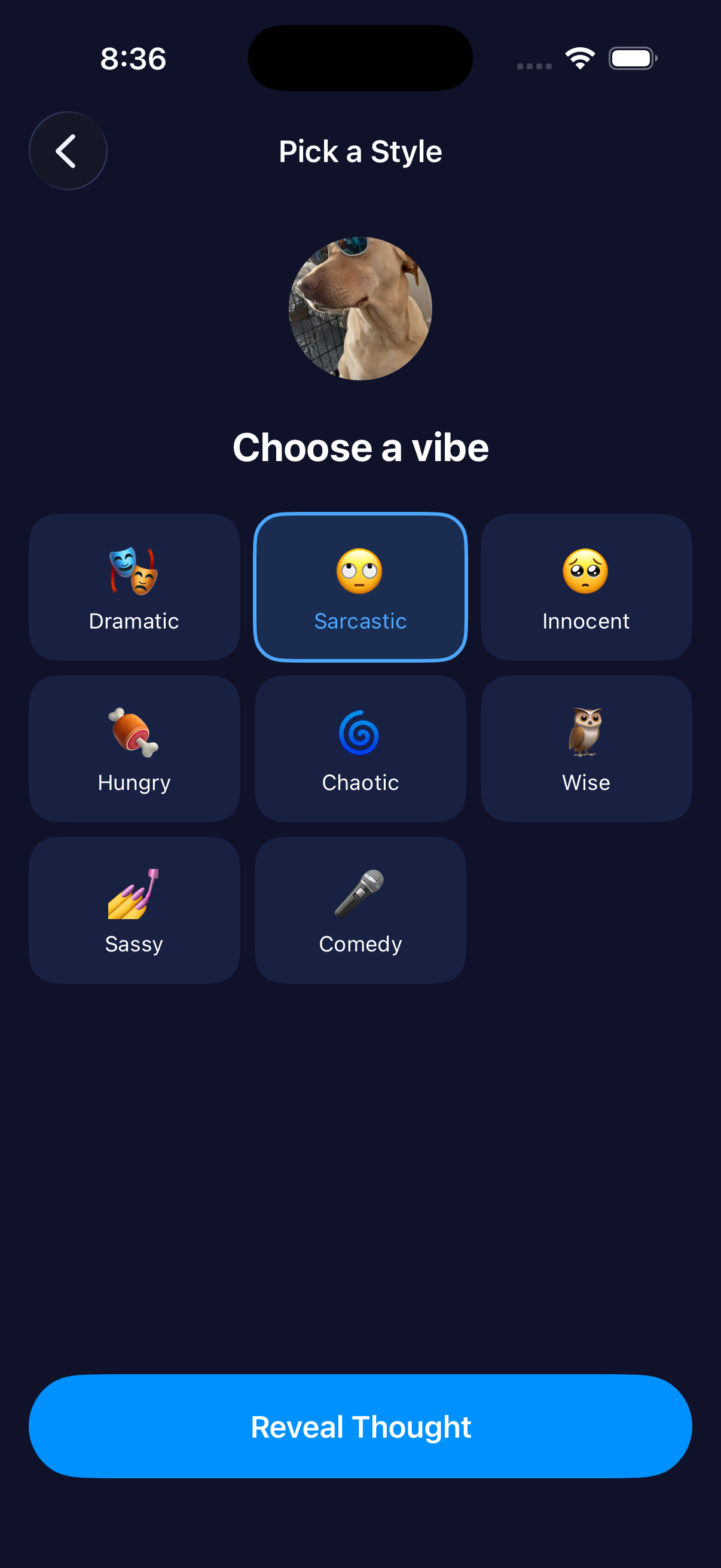 Choose a vibe screen